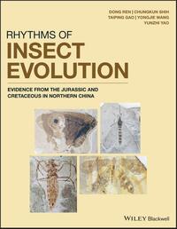 Rhythms of Insect Evolution