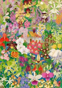 Around The World In 50 Orchids