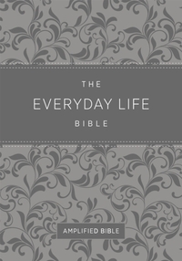 Everyday Life Bible (Fashion Edition: Gray Imitation Leather)