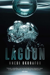 Lagoon R/E