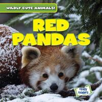 Red Pandas