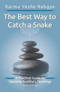 The Best Way to Catch a Snake: A Practical Guide To Gautama Buddha's Teachings
