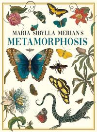 Maria Sibylla Merian's Metamorphosis