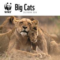 WWF Big Cats Square Wall Calendar 2024