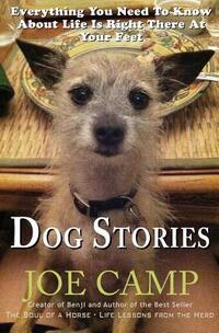 Dog Stories