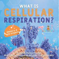 What is Cellular Respiration? Process, Products and Reactants of Cellular Respiration Explained | Grade 6-8 Life Science