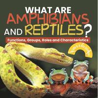 What are Amphibians and Reptiles? Functions, Groups, Roles and Characteristics | Grade 6-8 Life Science