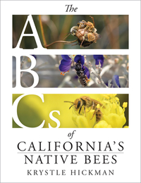 The ABCs of California's Native Bees