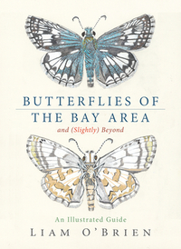 Butterflies of the Bay Area and (Slightly) Beyond
