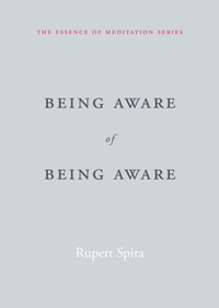 Being Aware of Being Aware