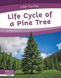 Life Cycles: Life Cycle of a Pine Tree