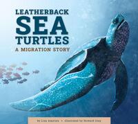 Leatherback Sea Turtles: A Migration Story
