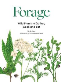 Forage