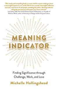 Meaning Indicator