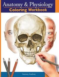 Anatomy and Physiology Coloring Workbook