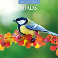 Birds 2025 Square Wall Calendar