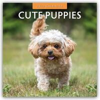 Cute Puppies 2026 Square Wall Calendar