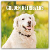 Golden Retrievers 2026 Square Wall Calendar