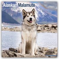 Alaskan Malamute Calendar 2025 Square Dog Breed Wall Calendar - 16 Month