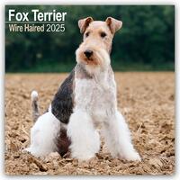 Fox Terrier Wirehaired Calendar 2025 Square Dog Breed Wall Calendar - 16 Month