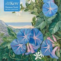 Adult Jigsaw Puzzle Kew: Marianne North: Amatungula And Blue Ipomoea, South Africa