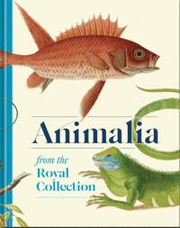 Animalia
