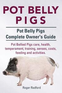 Pot Belly Pigs. Pot Belly Pigs Complete Owners Guide. Pot Bellied Pigs care, health, temperament, training, senses, costs, feeding and activities.