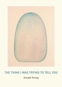 The Thing I Was Trying to Tell You