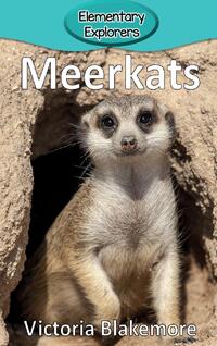 Meerkats