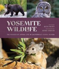 Yosemite Wildlife