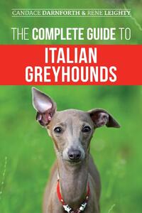 The Complete Guide to Italian Greyhounds