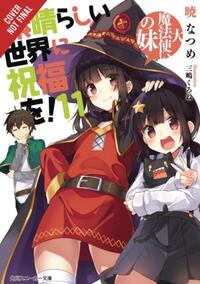 Konosuba: God's Blessing on This Wonderful World!, Vol. 11 (light novel)