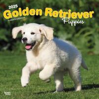 2025 Plastic-Free Golden Retriever Puppies Calendar