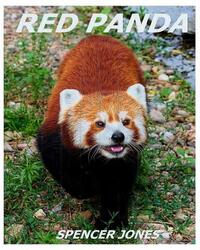 Red Panda: Learn About Red Pandas-Amazing Pictures & Fun Facts