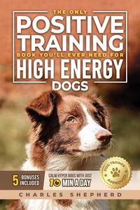 The Only Positive Training Book You'll Ever Need for High-Energy Dogs
