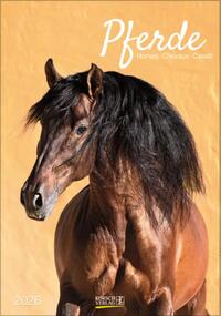 Pferde 2026