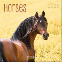 Horses 2026