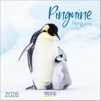 Pinguine 2026