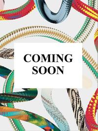 Rembrandt. The Paintings. 45th Ed.