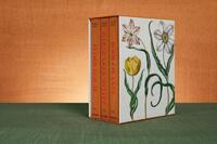 Basilius Besler. The Garden at Eichstatt