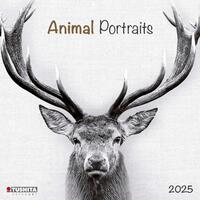 Animal Portraits 2025