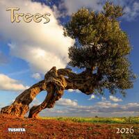 Trees 2026