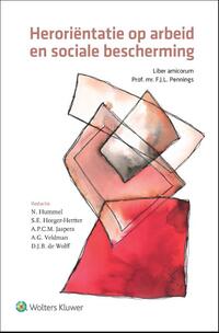 Heroriëntatie op arbeid en sociale bescherming