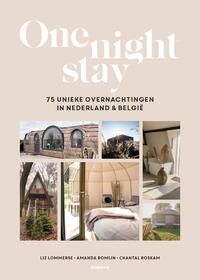 One Night Stay