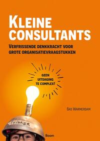 Kleine consultants