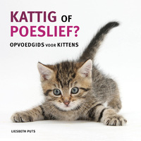 Kattig of poeslief