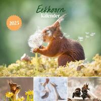 Eekhoorn kalender, Geert Weggen  Boek  9789043931748  Bruna