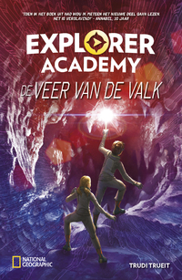 De veer van de valk