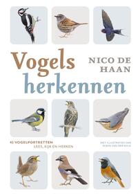 Vogels herkennen