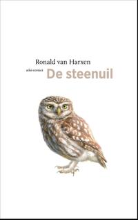 De steenuil